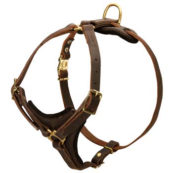 Fashion but functional leather dog harness