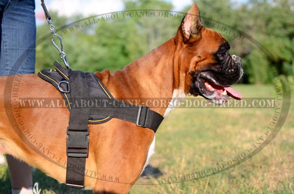 First-rate Nylon Dog Harness for Boxers