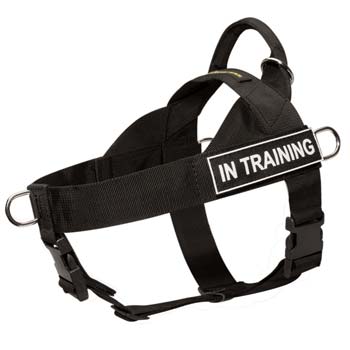 Control easy handling nylon dog harness