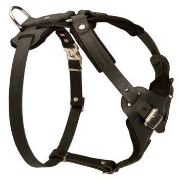 Long-life leather dog harness