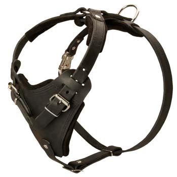 Prime quality safe dog harness