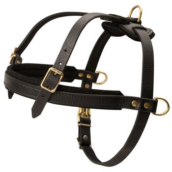 Comfortable easy handling leather harness