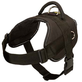 Lightweight nylon dog harness of great design