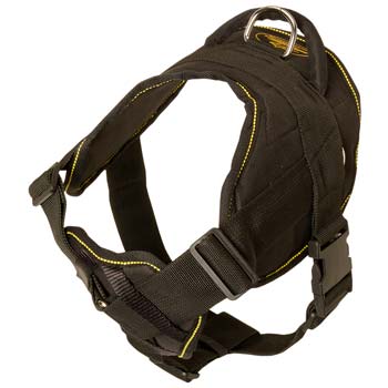 Cane Corso nylon canine harness