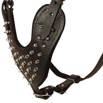 Felt padded Cane Corso Y-shape leather dog  spiked harness
