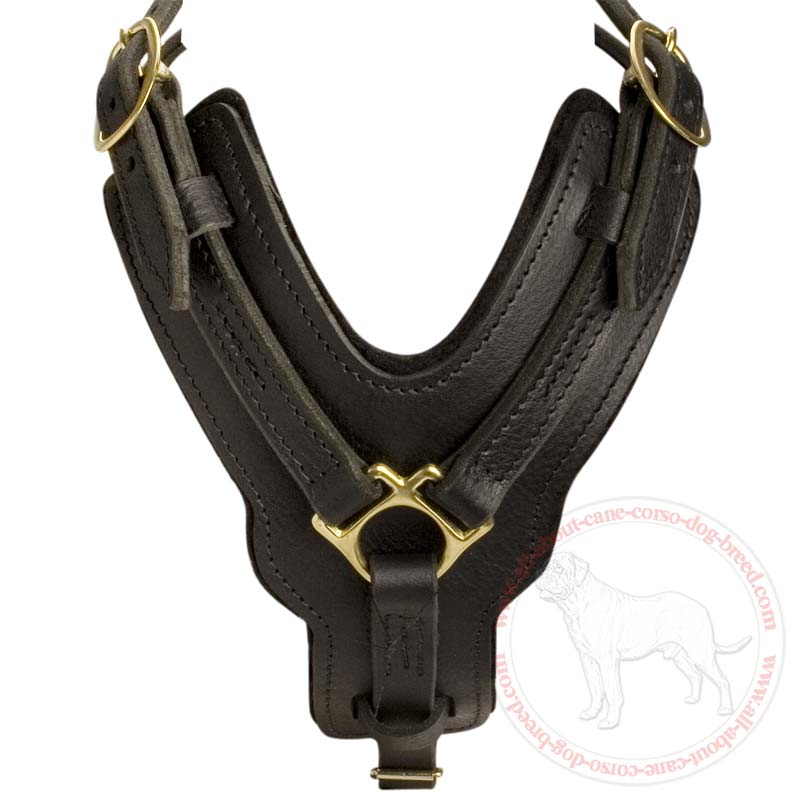 easy walk dog harness