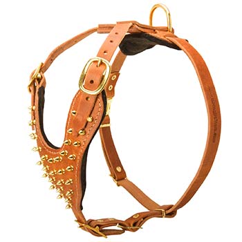 Spiked Cane Corso Harness