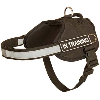 Reflective Sport Dog Harness