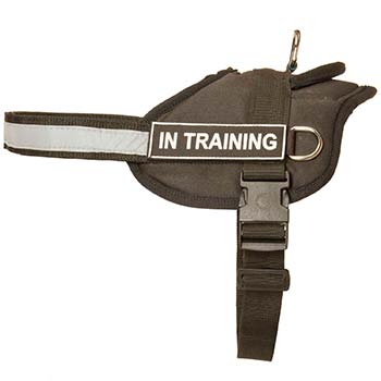 Safety Holeproof Nylon Training Harness