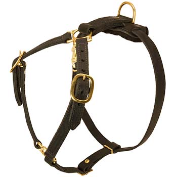 Leather Cane Corso Harness