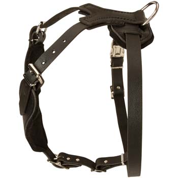 Easy Adjustable Leather Dog Harness