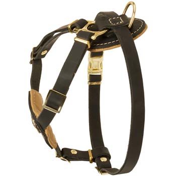 Easy Adjustable Leather Harness for Cane Corso Puppy