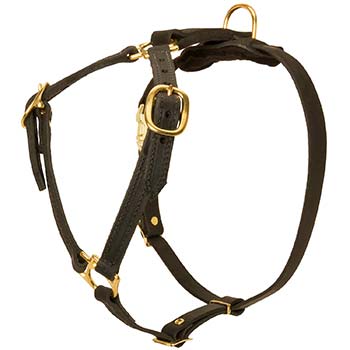 Strong Cane Corso Harness with Wide Straps