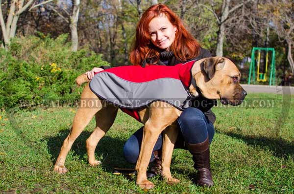 Nylon Jacket for Cane Corso Walking