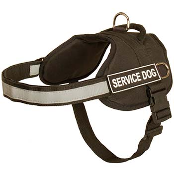 Nylon Cane Corso Harness with Service Dog Patch