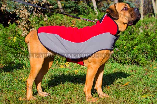 Warming Cane Corso Jacket