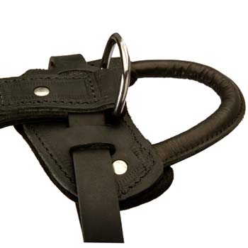 Hand crafted leather dog harness with handle