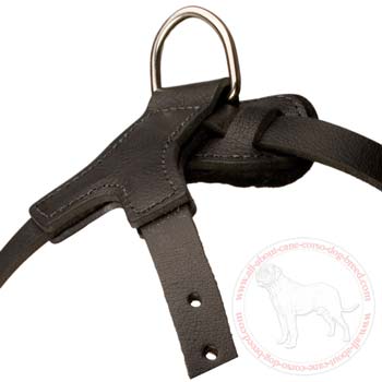 Reliable unique leather spiked dog harness
