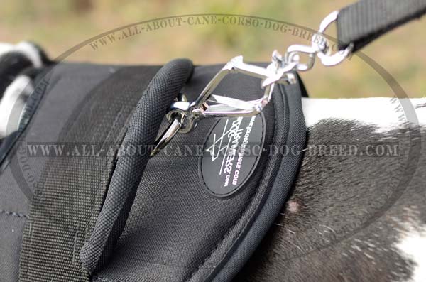 Reliable Nylon Dog Harness for Large Dogs