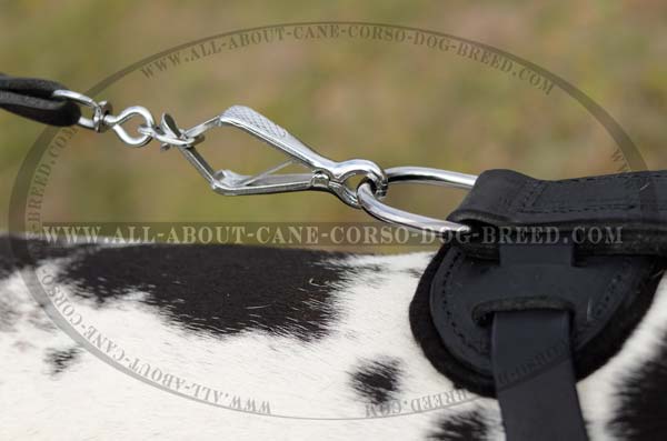 Professional Leather Dog Harness with Spikes