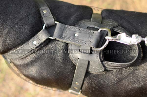 Premium Quality Leather Padded Large Dog Harness