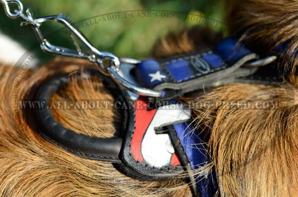 New Leather Dog Harness with Handpainting
