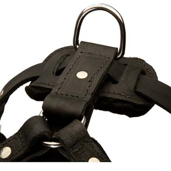 Excellent leather dog harness features dee Ring for  lead
