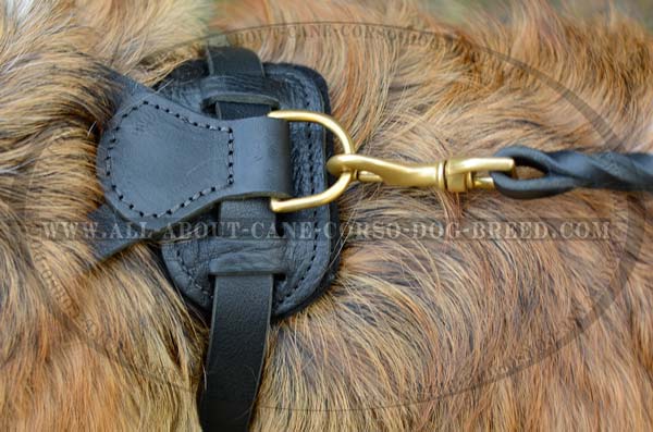 Well-Made Leather Dog Harness for Pulling Work