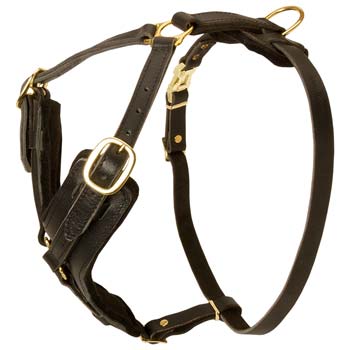 Designer Adjustable Padded Cane Corso Harness