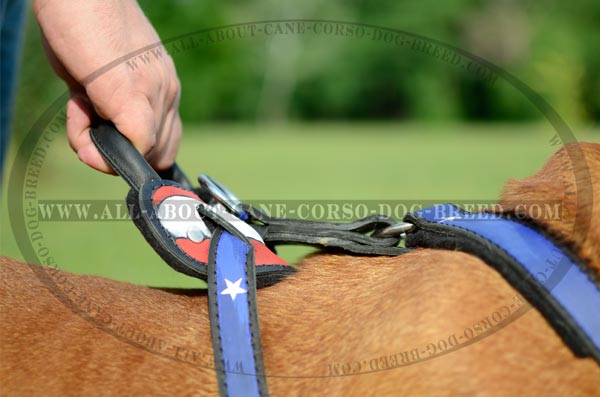 Newest Dogue de Bordeaux Breed Leather Harness