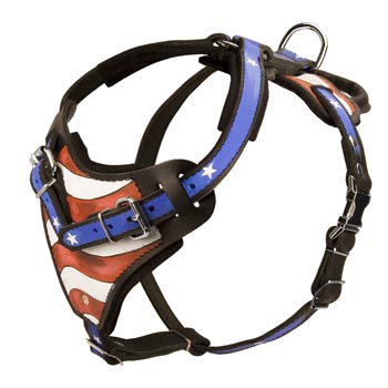 Prime functional leather dog harness