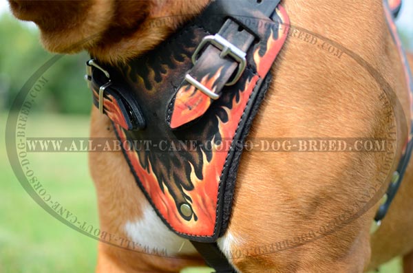 Agitation Pitbull Leather Dog Harness