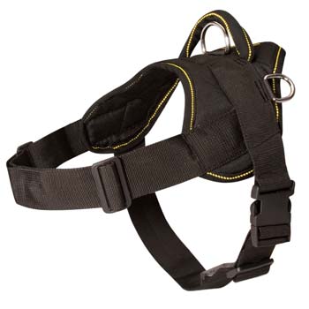 Great custom easy handling nylon harness