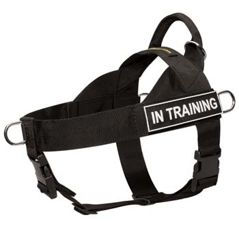 Strongest nylon dog harness