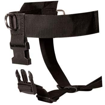 Ultra lightweight multitasking nylon dog harness