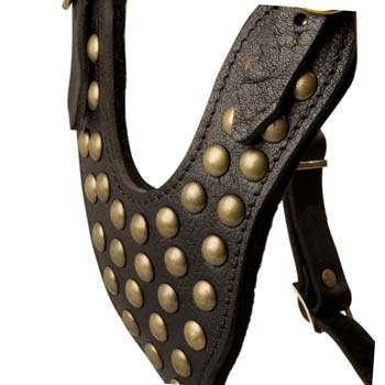 Dressy handmade studded leather dog harness