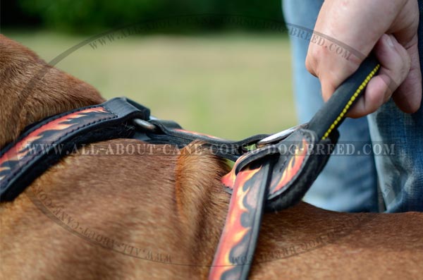 Well-Made Leather Dog Harness