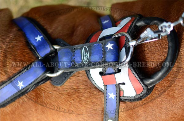 Custom Made Leather Dog Harness With Handmade Painting