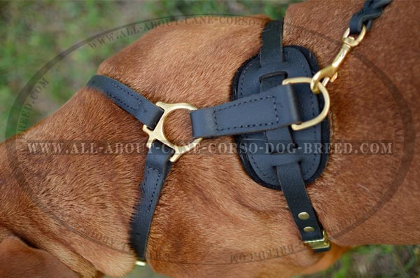 Easy Walking Dog Harness