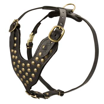 Easy walk studded leather dog harness