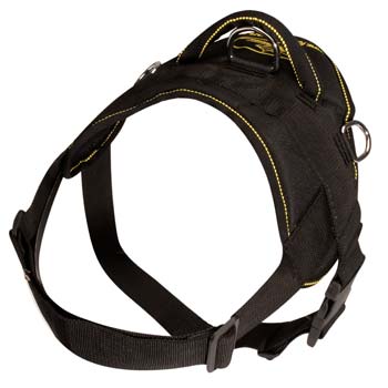 Lightweight remarkable nylon dog harness