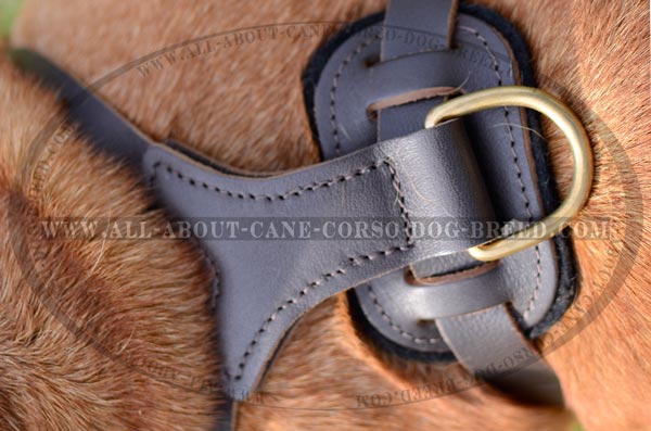 Well-Made Superior Leather Dog Harness