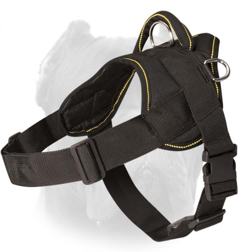 Soft Leather Padded BullDog Breed Harness