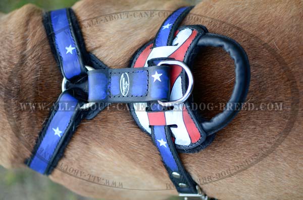 Distinguished Bullmastiff Dog Leather Harness