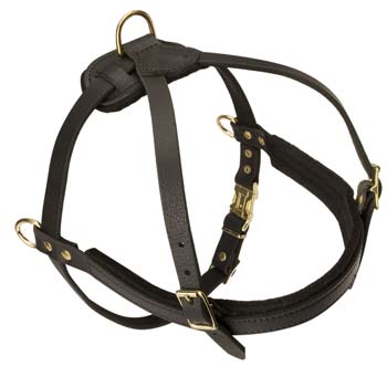 Unique pulling leather dog harness