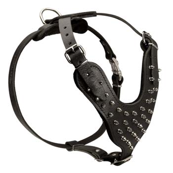 Necessary comfy decorated leather dog harness