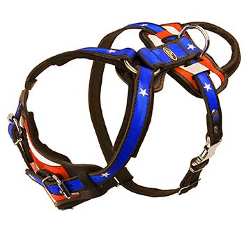 Cane Corso Leather Harness with Adjustable Straps