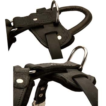 Training/walking leather harness for Mastino Napoletano  with rustless fittings