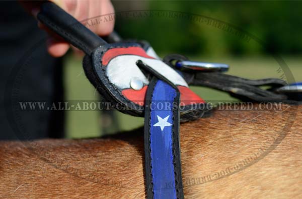 Hand Crafted Leather Dog Harness for Bullmastiffs
