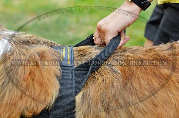 All-Weather Handmade Nylon Dog Harness